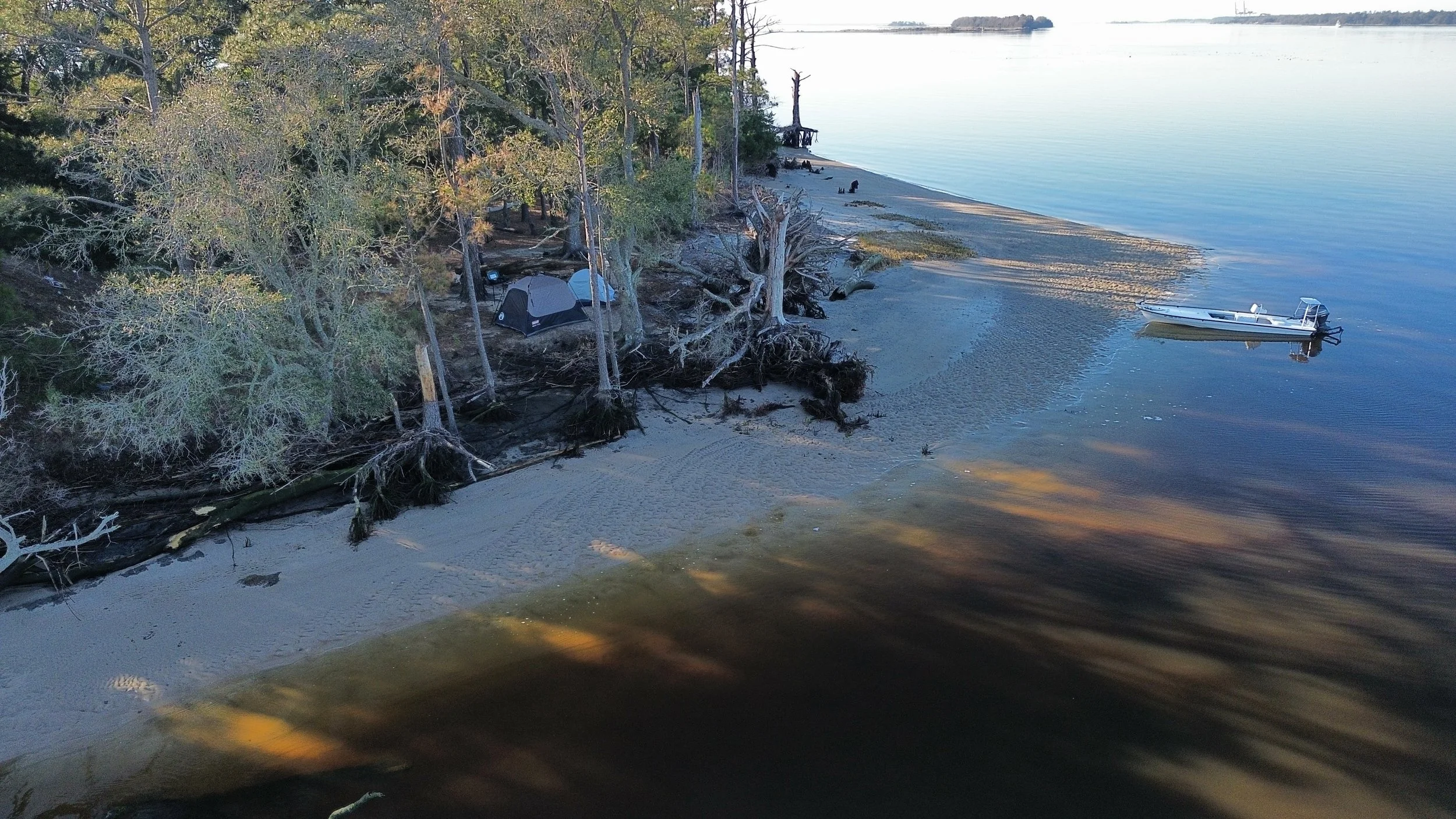 PHOTOS │Lost Dog Guide Service - Wilmington, NC